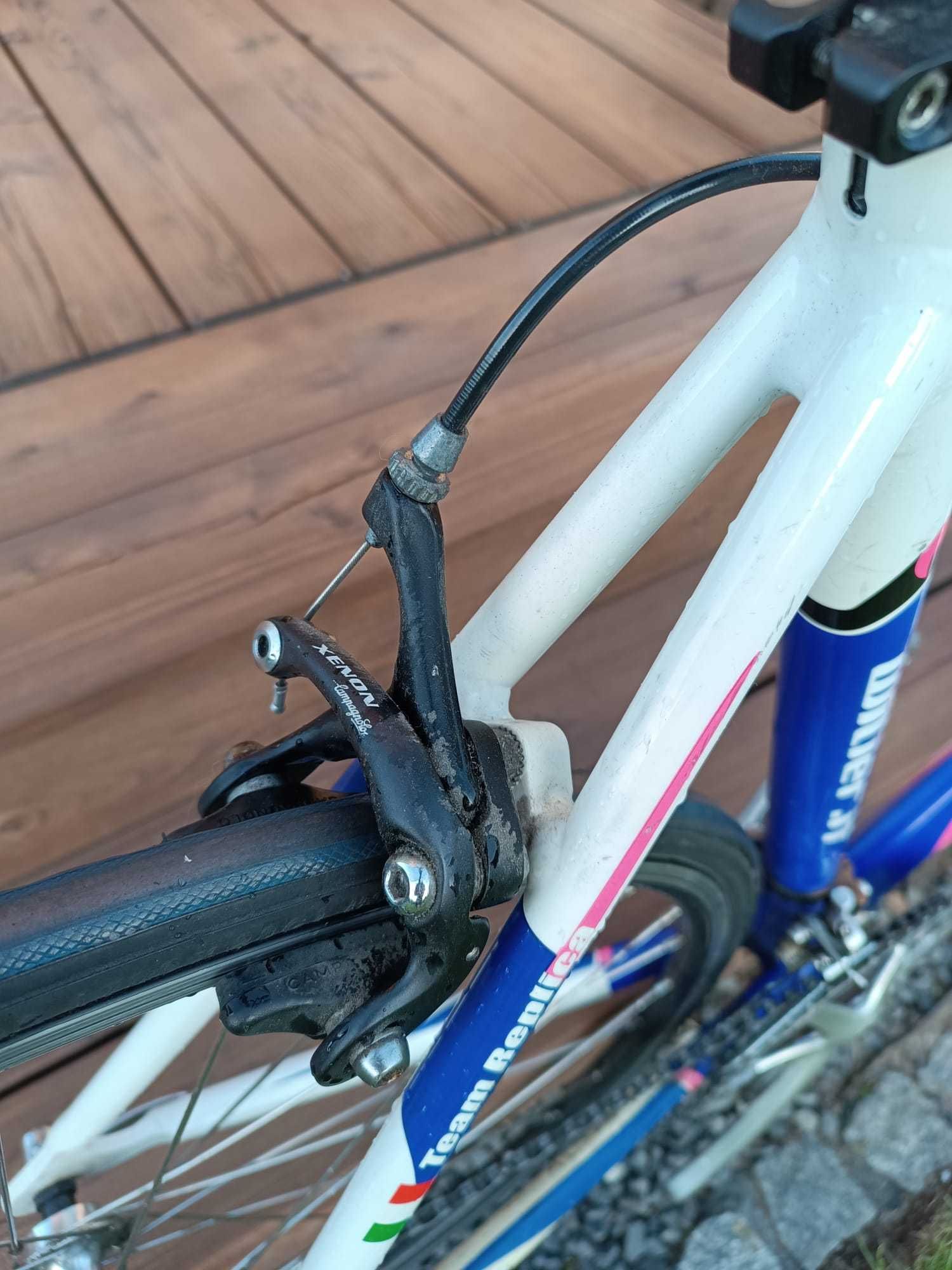 Rower szosowy Wilier Lampre Team Replica