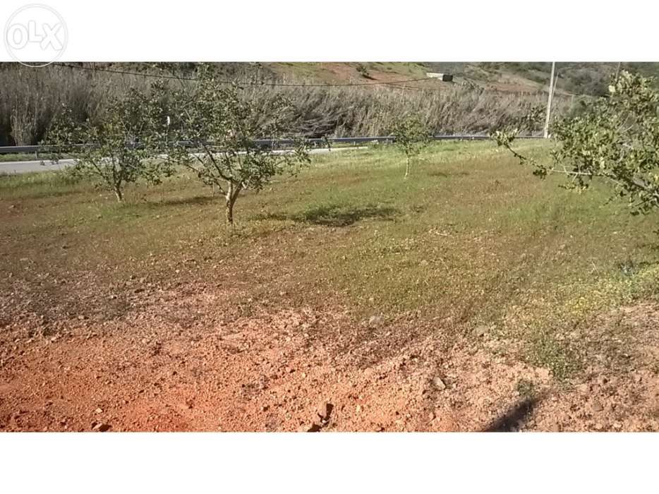 Terreno 3400m2 Urbanizável Conceição de Tavira