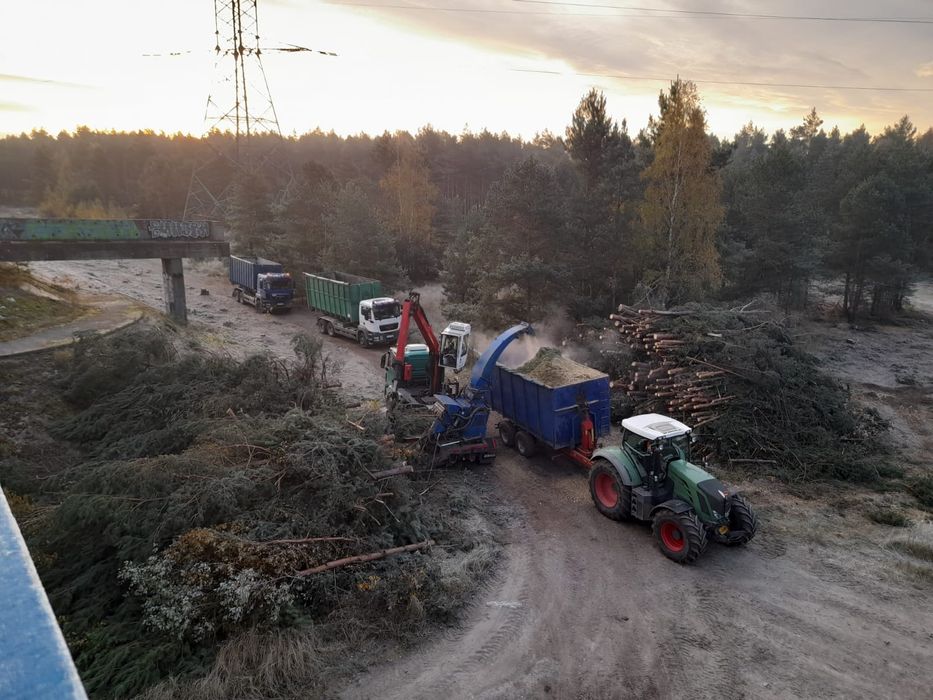 Wycinki, karczowanie drzew, mulczowanie TANIO !!