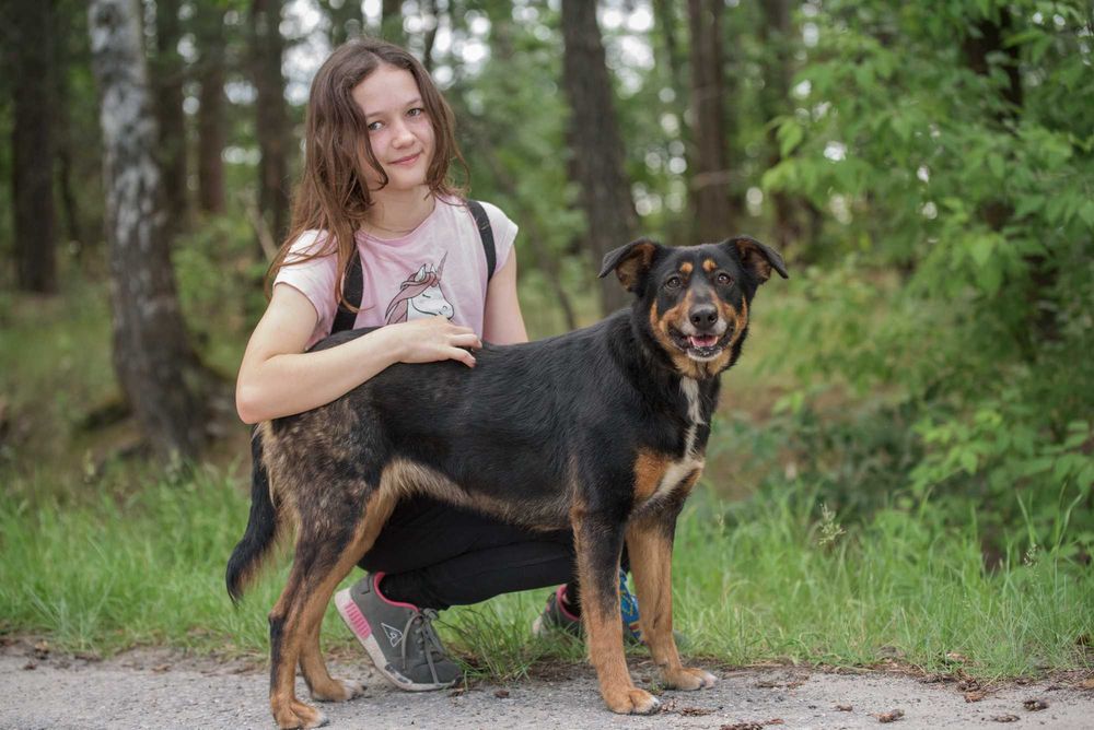 Cudna Ida - wspaniała sunia dla rodziny do adopcji