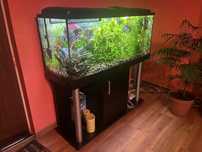 Akwarium 240 l z szafka