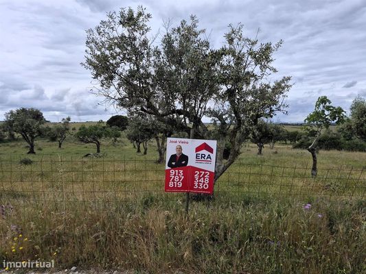 Quinta — Espírito Santo, Nossa Senhora Da Graça E São Simão, Portalegre