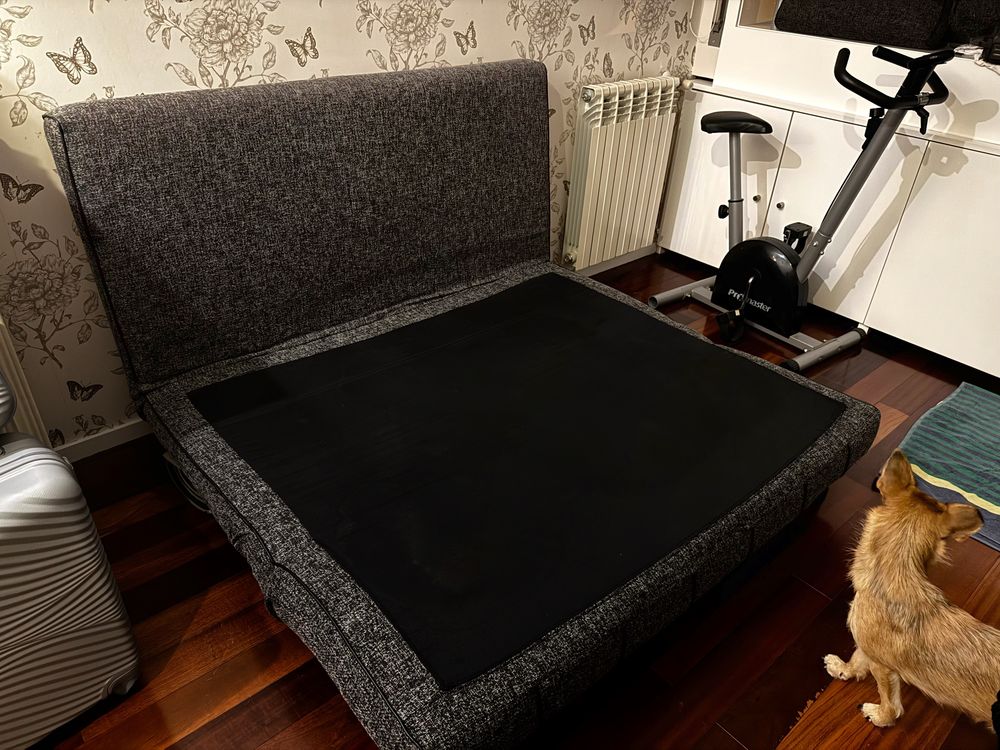 Sofá cama com 2 gomas, mais almofadas