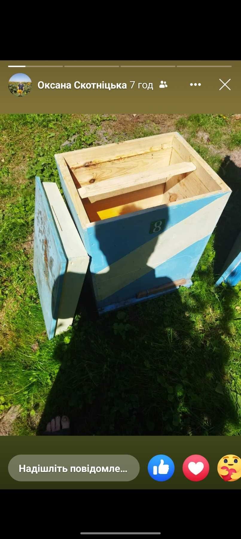 Пасіка, бджоли можливо з вуликом