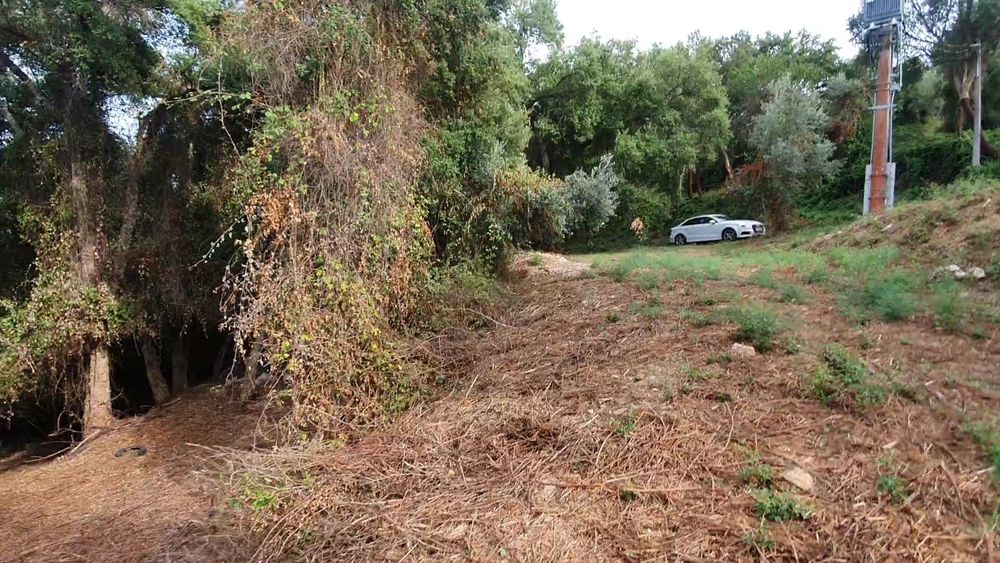 Terreno junto a Praia Fluvial de Montes (Barragem Castelo de bode)