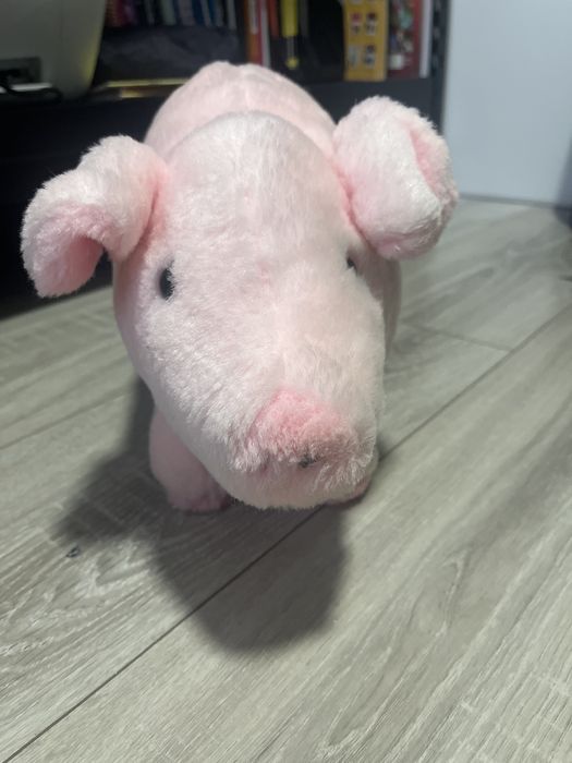 Pluszak różowej swinki