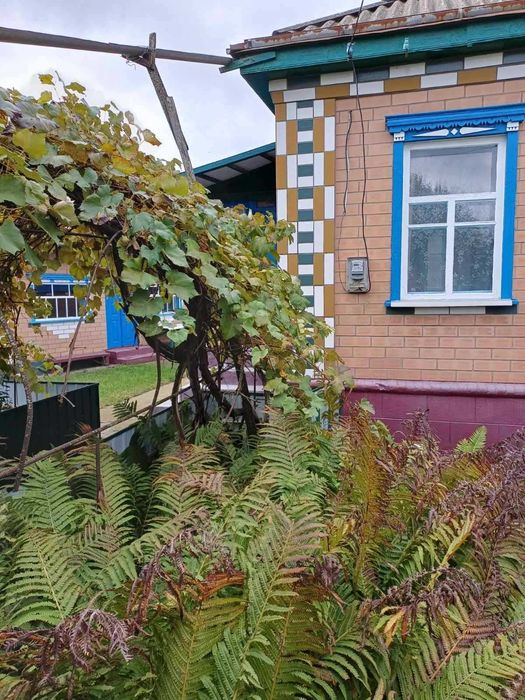 Продам будинок у смт. Драбів