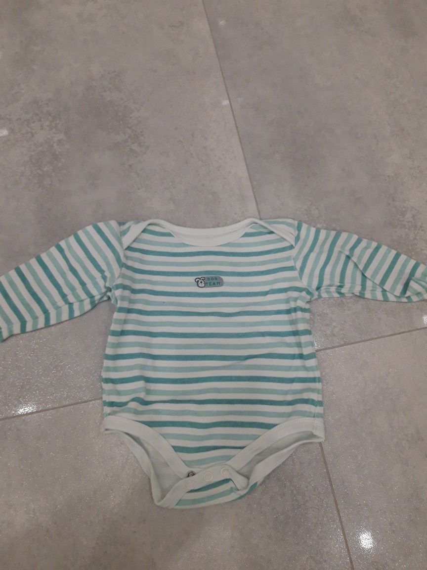 Body paski zielone 62