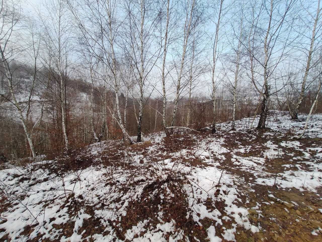 Земельна ділянка в Закарпатській області в селі Вишка