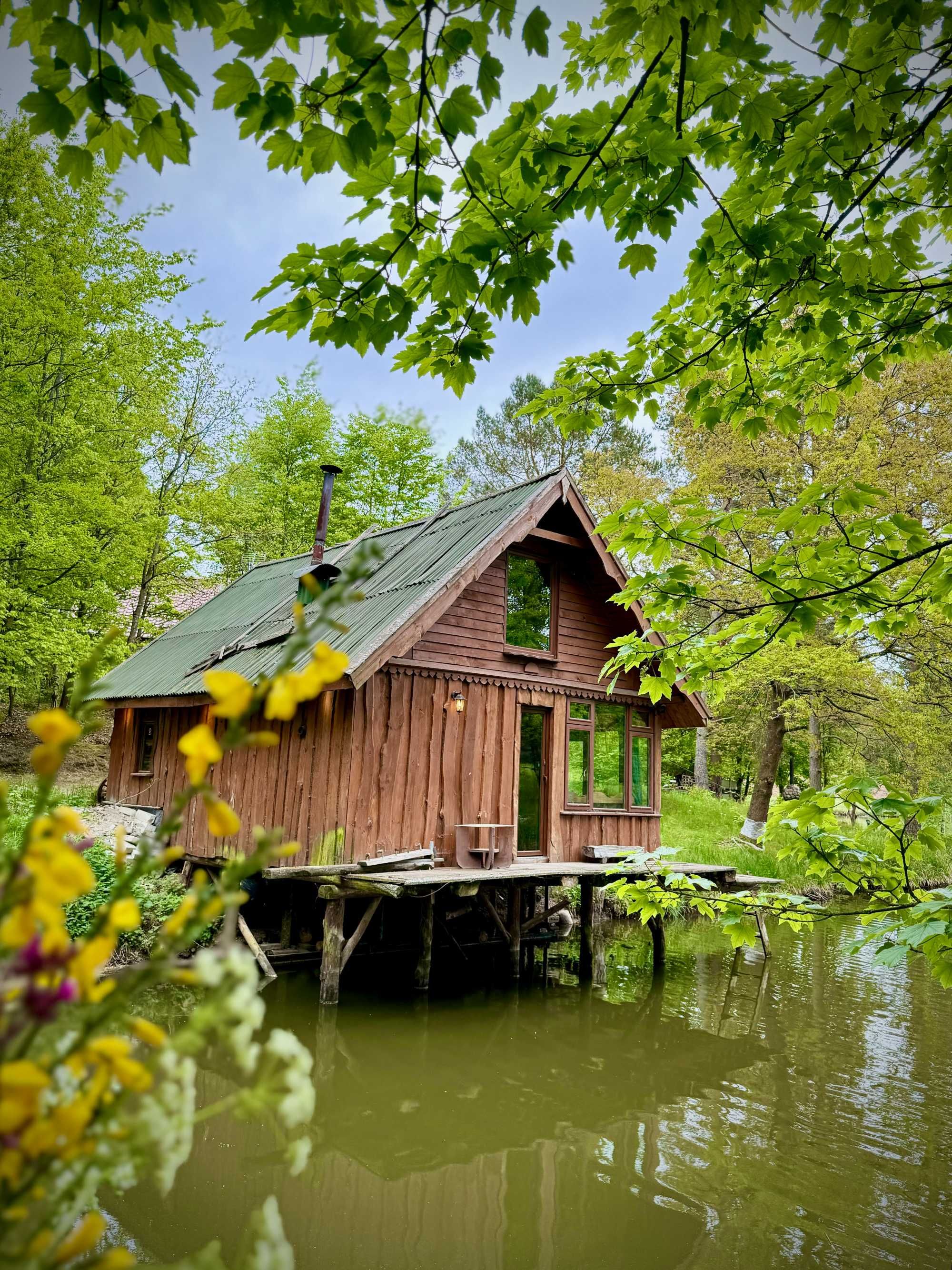 domek nad jeziorem w lesie, cisza, urlop. sauna, łowisko, wypoczynek,