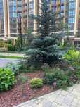 Продаж квартири вул.  Щаслива,67.ЖК Sofia Residence .