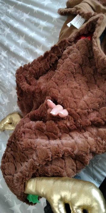 Костюм оленя для собаки одяг для собаки