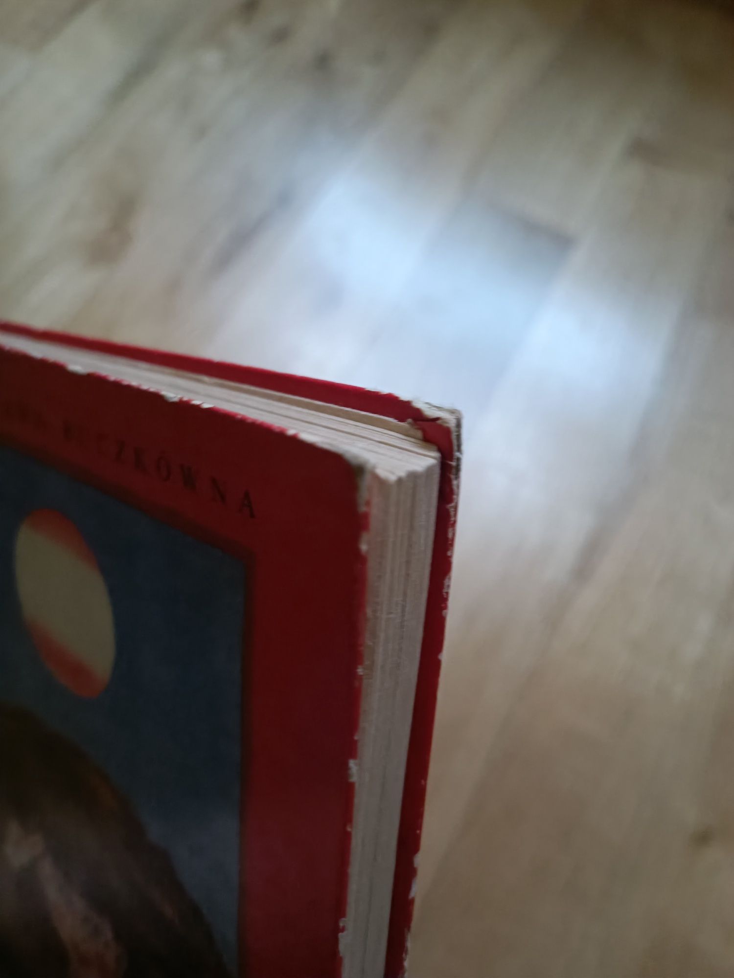 Książka Piotruś zuch