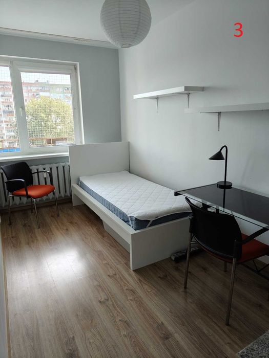 Pokój do wynajęcia (sprzątanie w w cenie)