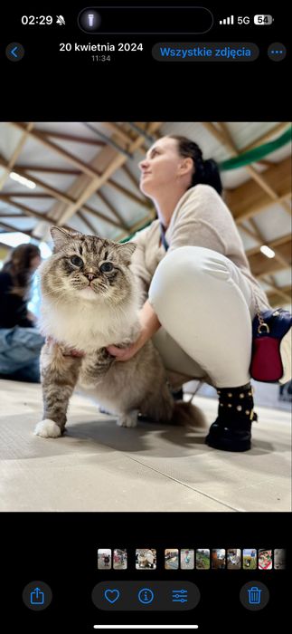 Ragdoll reproduktor FPL