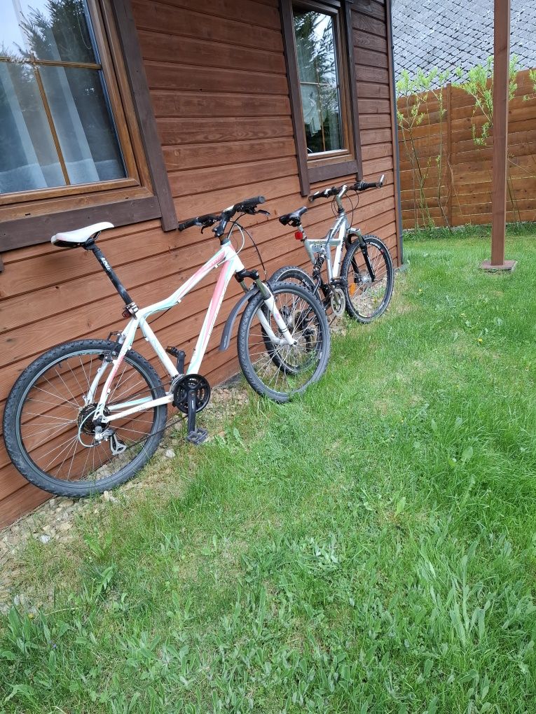 Domek z kominkiem i balią