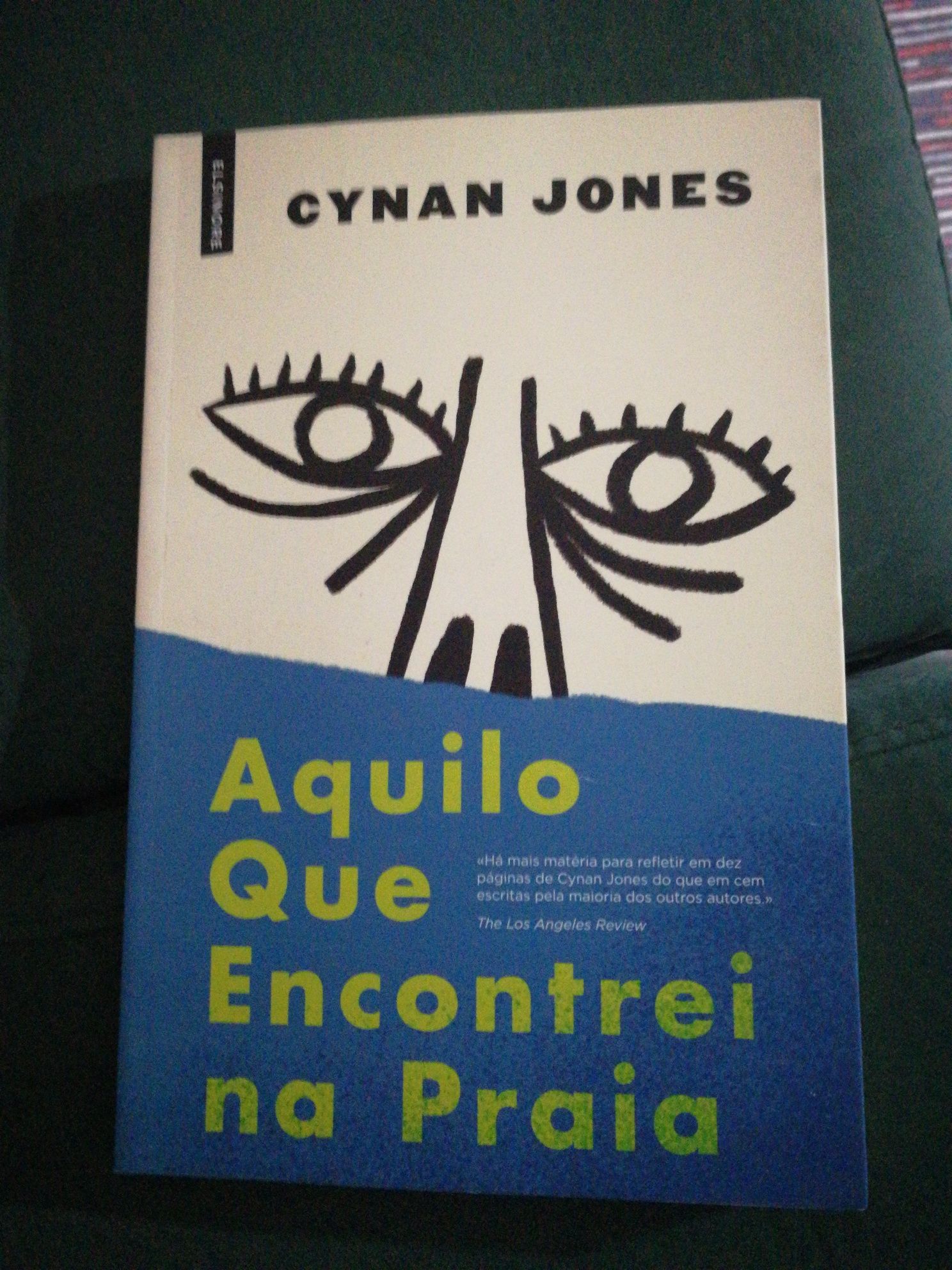 Livro "Aquilo que Encontrei na Praia" de Cynan Jones