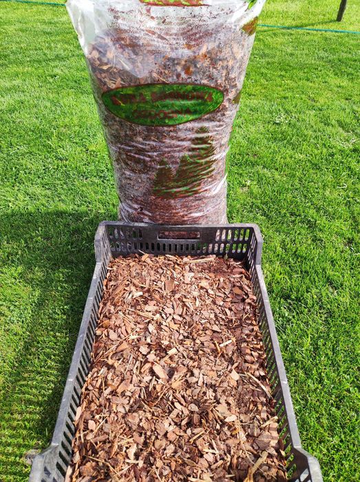 Kora sosnowa średnia niesortowana 60l