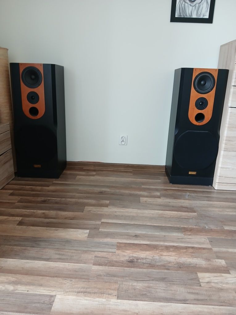 Unikatowe kolumny Diora Saturn ze wzmacniaczem ONKYO