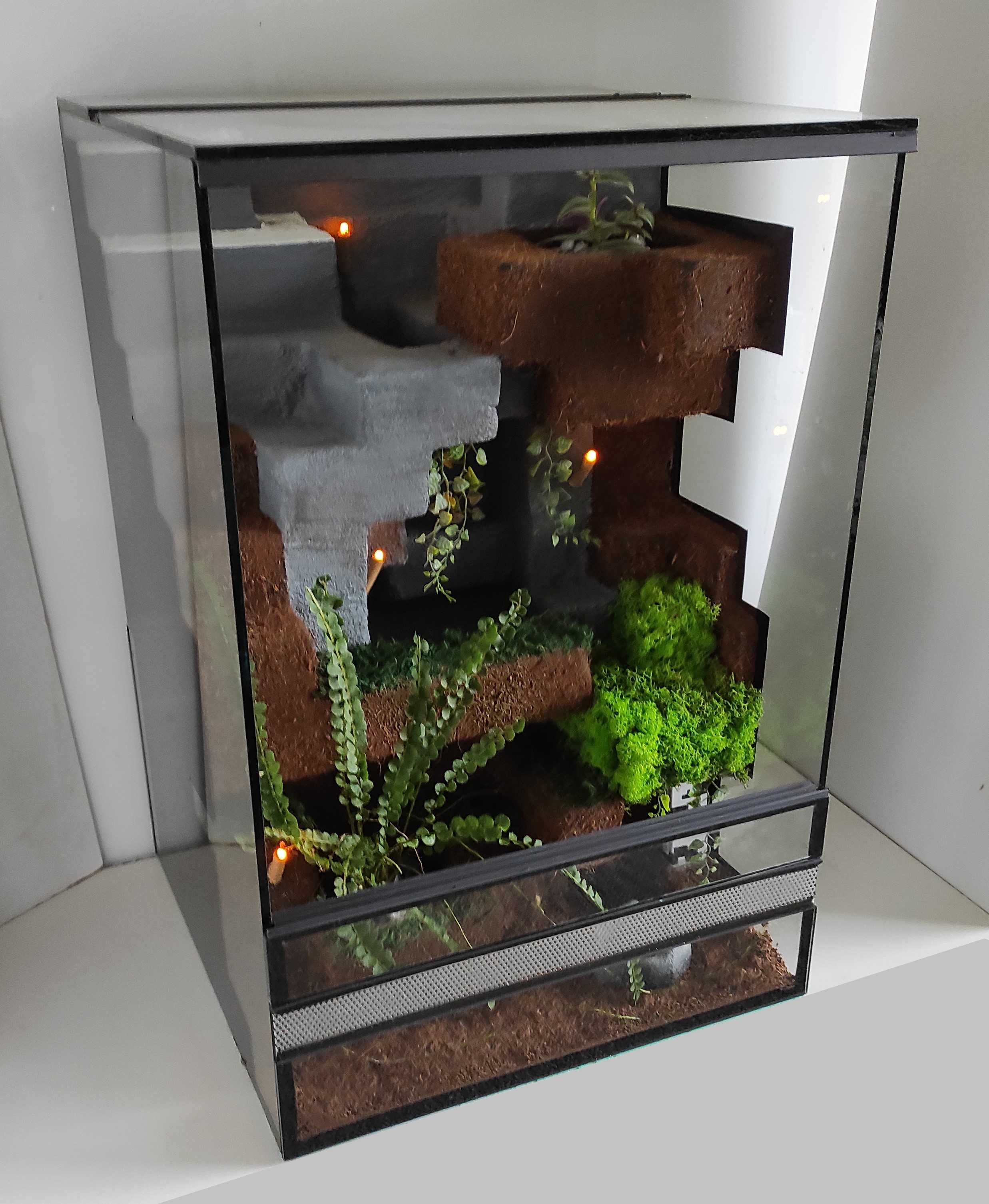 Terrarium dla gekonów płaczących, owadów, TW36MLR, AquaWaves