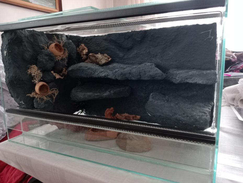 Sprzedam terrarium