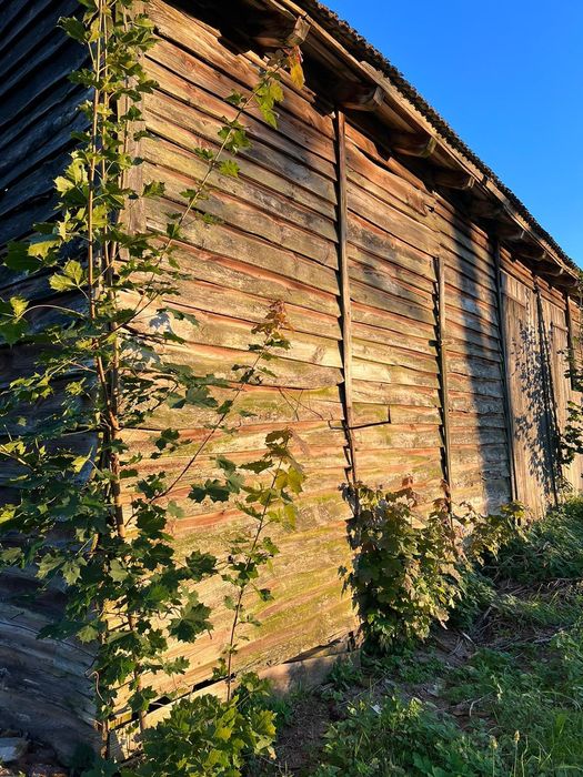 Rozbiórki stodół  skup starego drewna stare deski