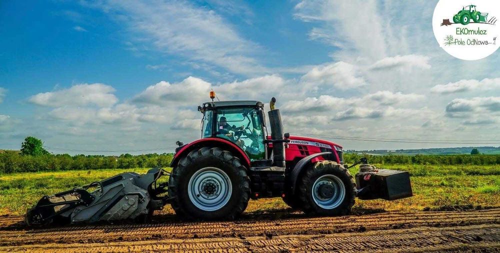 WycinkaDrzewMulczerFrezowaniePniCzyszczenieDziałekMulczowanieTeren