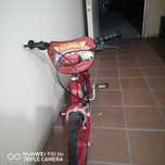 Bicicleta iniciação