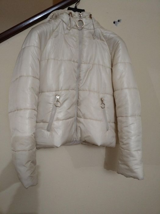 Kispos branco com pêlo dentro