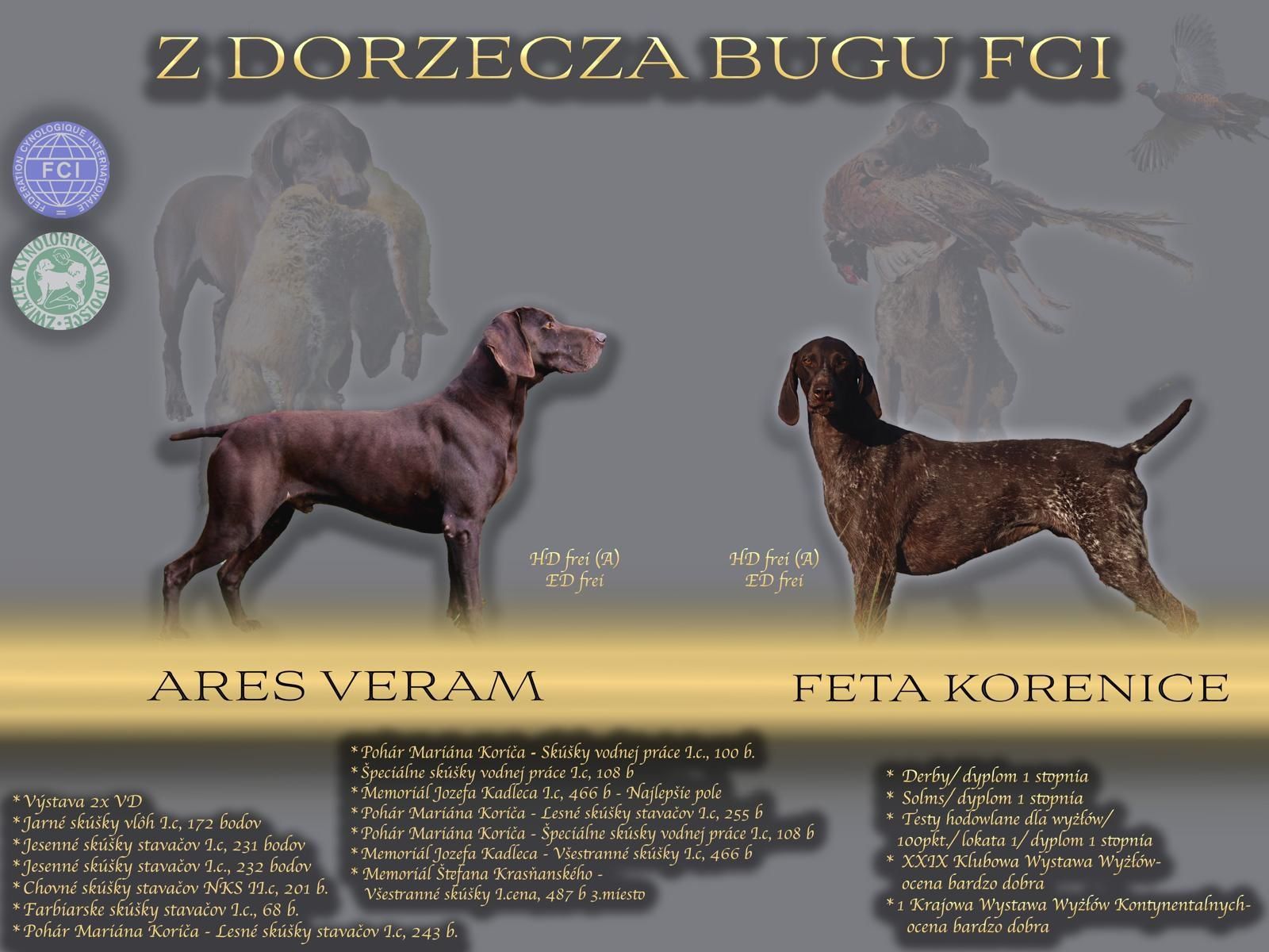 Wyżeł niemiecki krótkowłosy - Z Dorzecza Bugu FCI
Dnia 27.05.2025 na ś
