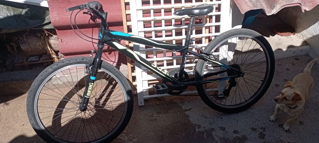 Bicicleta criança Roda 24 Berg