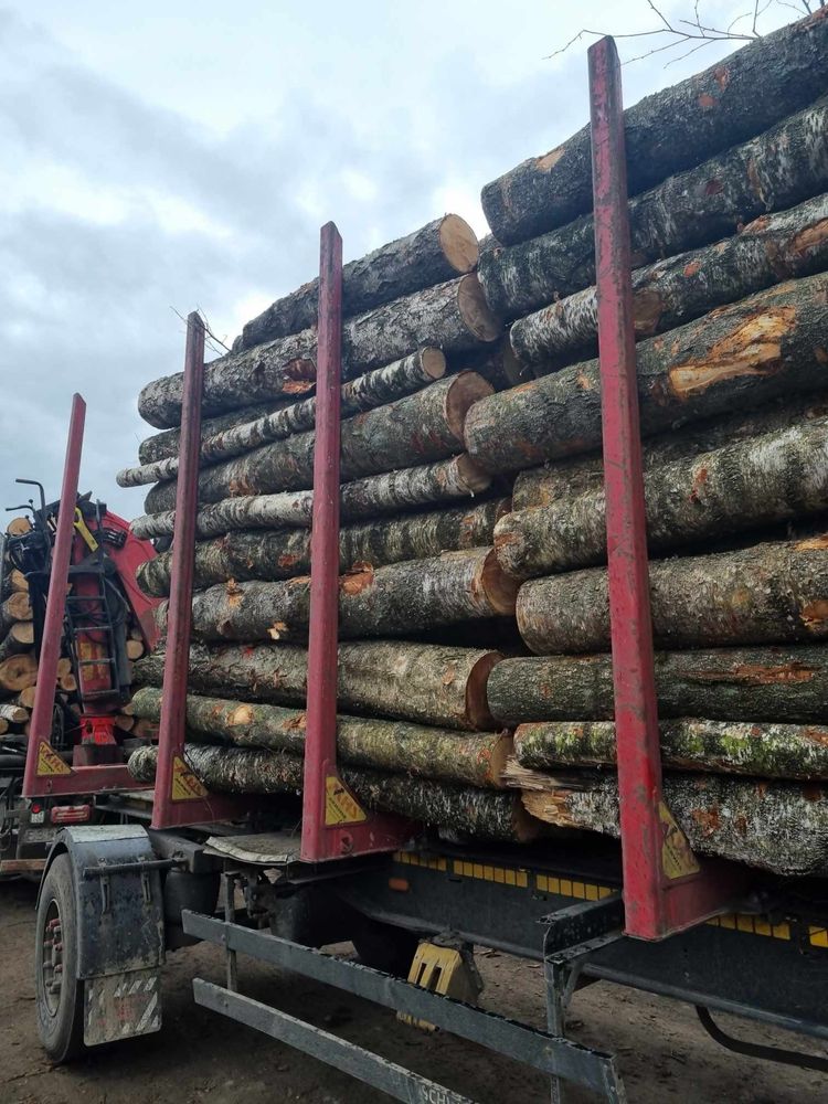 Drewno opalowe w walku 2,5m z dostawa gratis