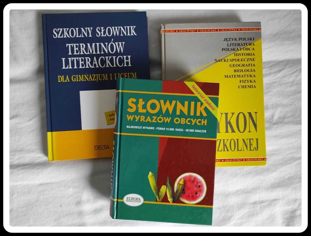 Zestaw książek dla dzieci, młodzieży słowniki leksykony