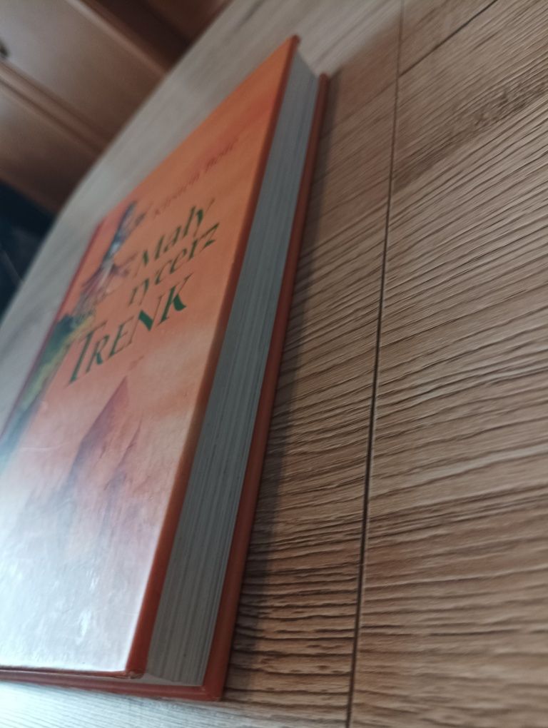 Mały rycerz Trenk. Kristen Boie