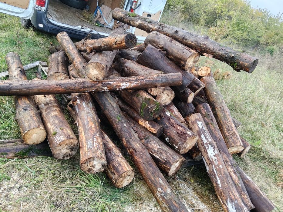 Drewno LIPOWE LIPA, DĄB / GRAB drewno kominkowe opałowe lisciaste