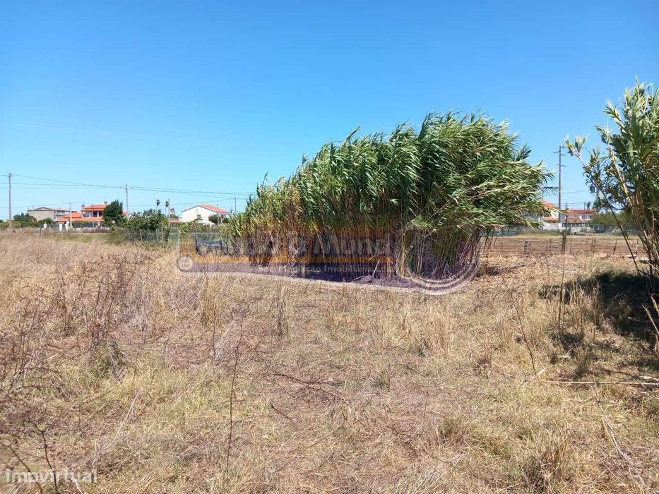 Terreno na Coutada Velha (B547)