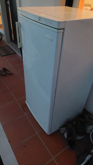 Arca Congeladora Vertical