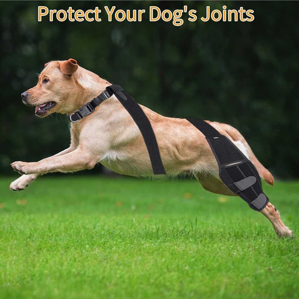 Наколенник бандаж для собак для восстановления сустава после травм SML