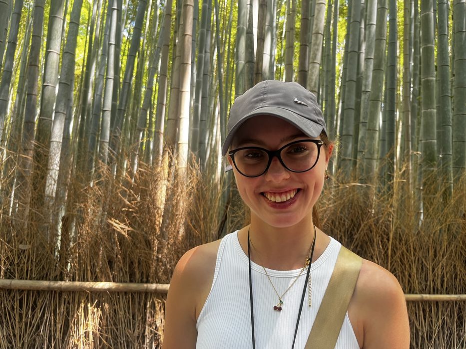 Lekcje Angielskiego online- posiadam certyfikat IELTS i FCE