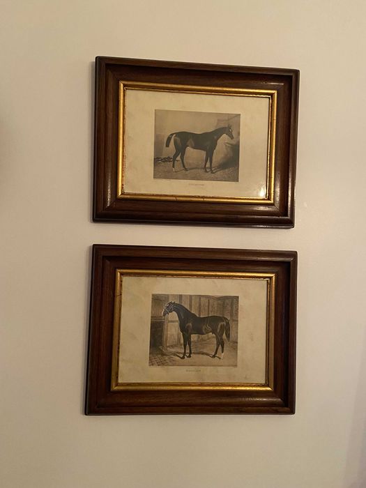 Molduras com cavalos