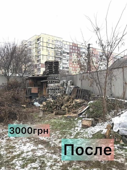 Спил дерев Безкоштовний вивіз