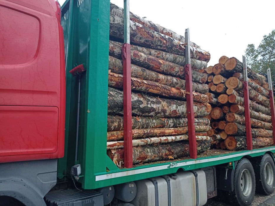 Drewno Kominkowe Opałowe ilości Cało Tirowe