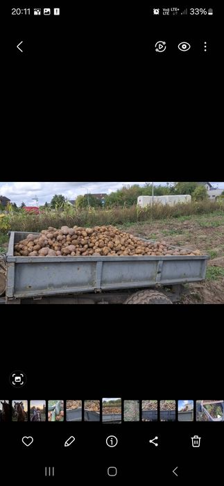 Ziemniaki VINETA i  Balerossa