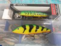 Salmo warrior 15 , Jackall Magsquad 160