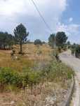 Terreno  para venda