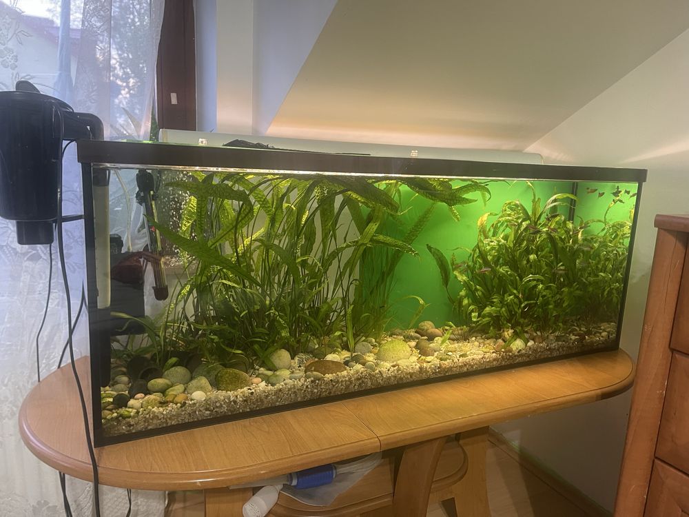 Akwarium 170 l.