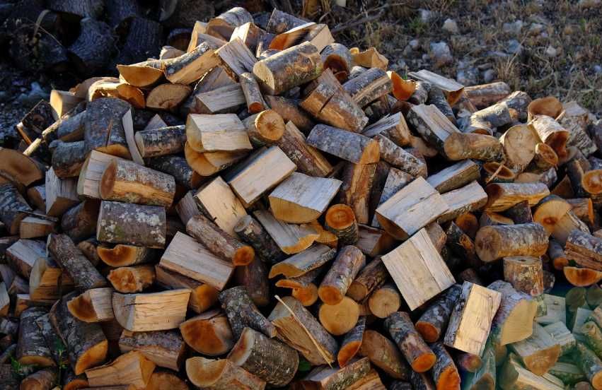 Продам дрова: дуб, сосна, ясень. Без предоплаты, быстрая доставка