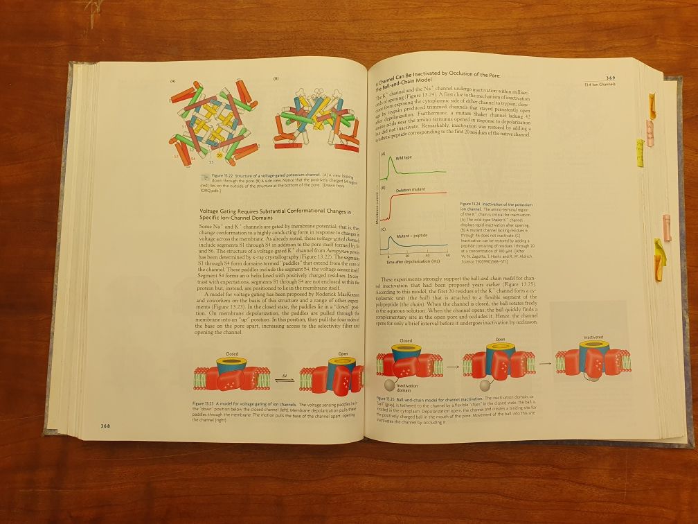 Biochemistry - livro