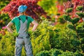 САДІВНИК Сад під ключ: перетворюємо простір на натхнення