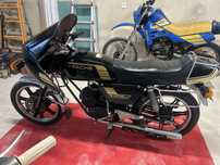 Sachs Lotus Export